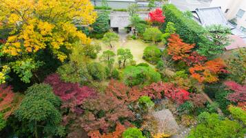 12 tatami + 5 tatami Japanese-style room, Non-Smoking | View from room