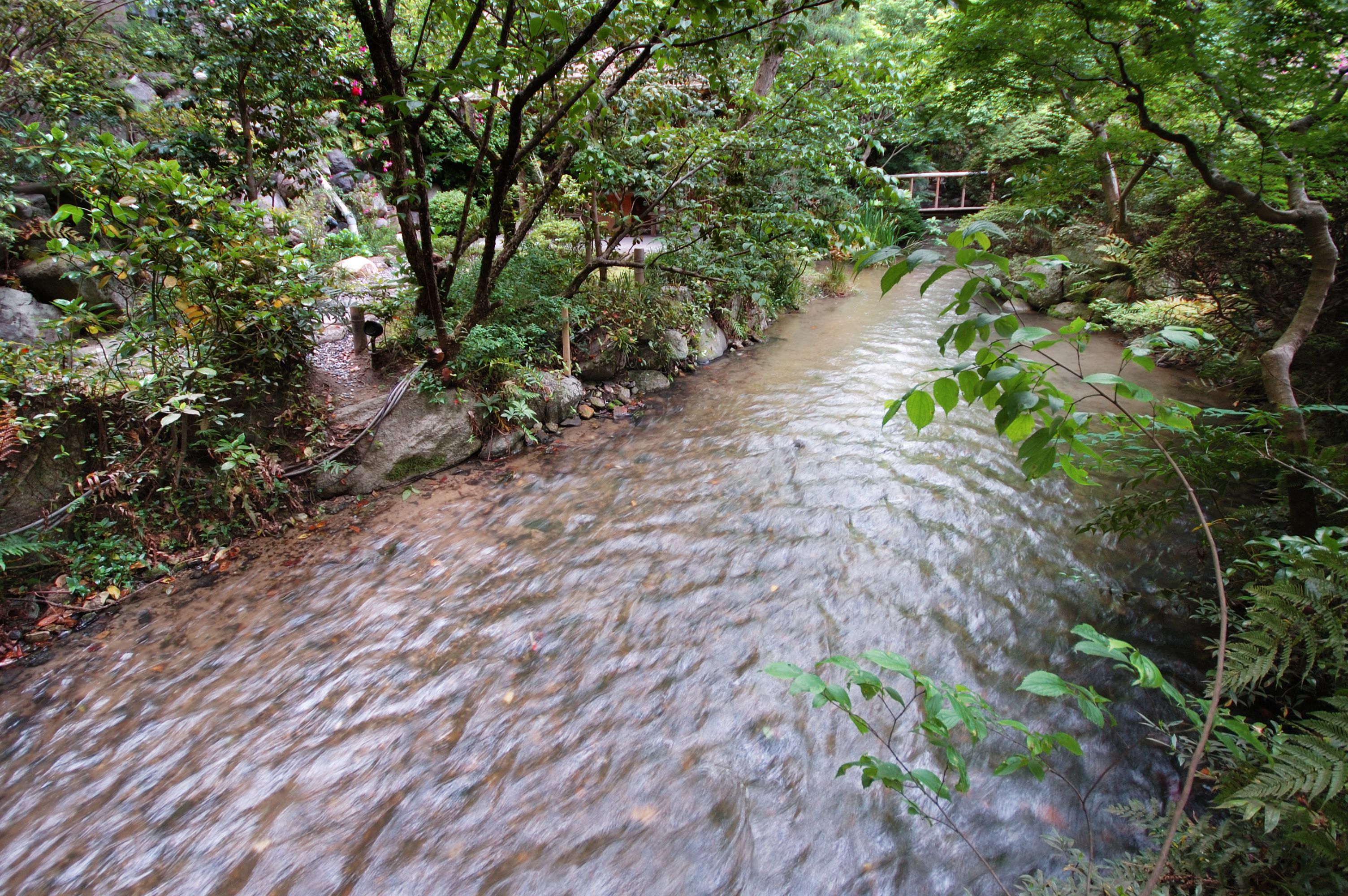 A narrow, flowing stream surrounded by dense foliage and rocks.