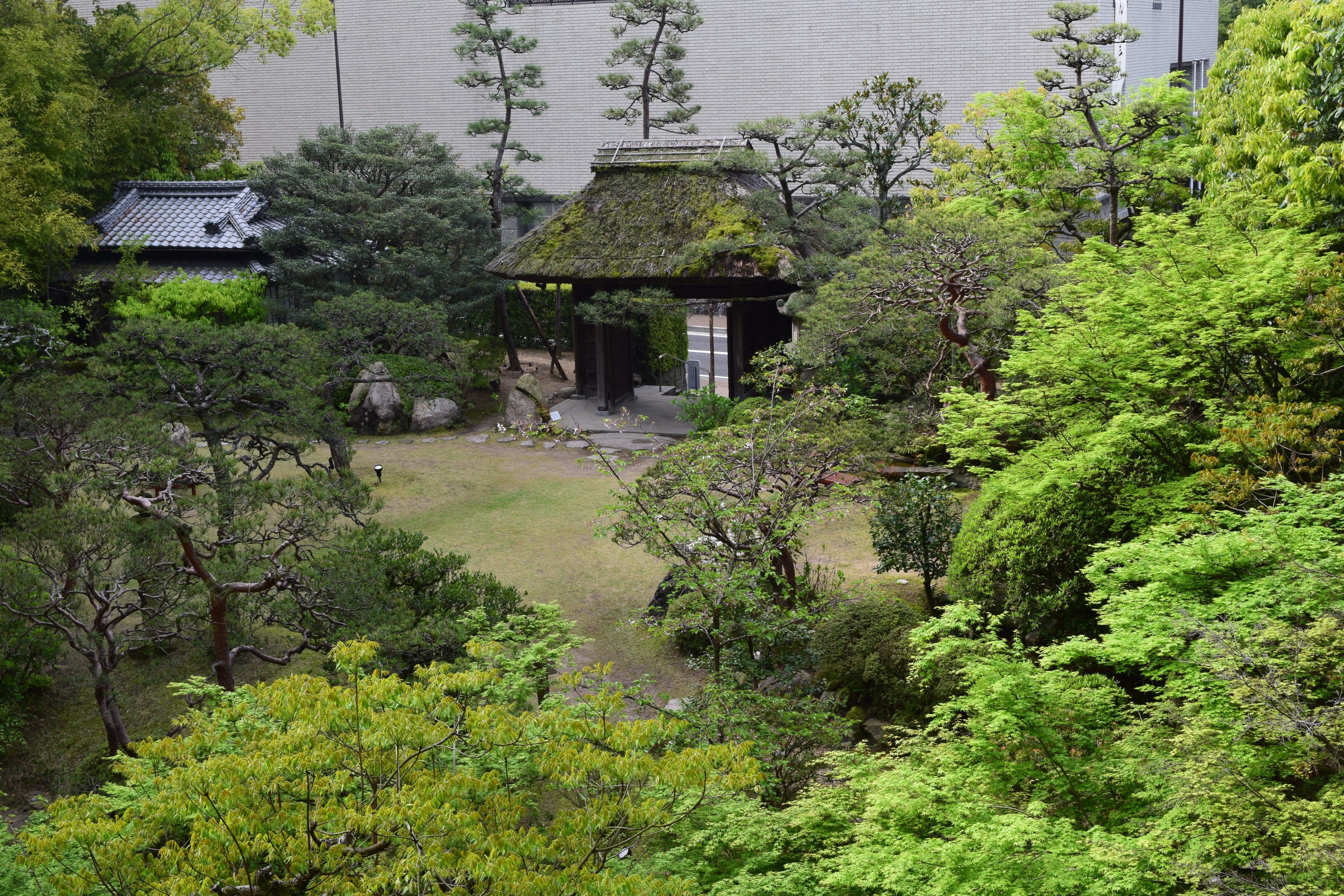 客房景观