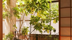 Una habitación japonesa tradicional con suelo de tatami, una mesa baja con una taza y vistas a un jardín de bambú a través de un shoji.
