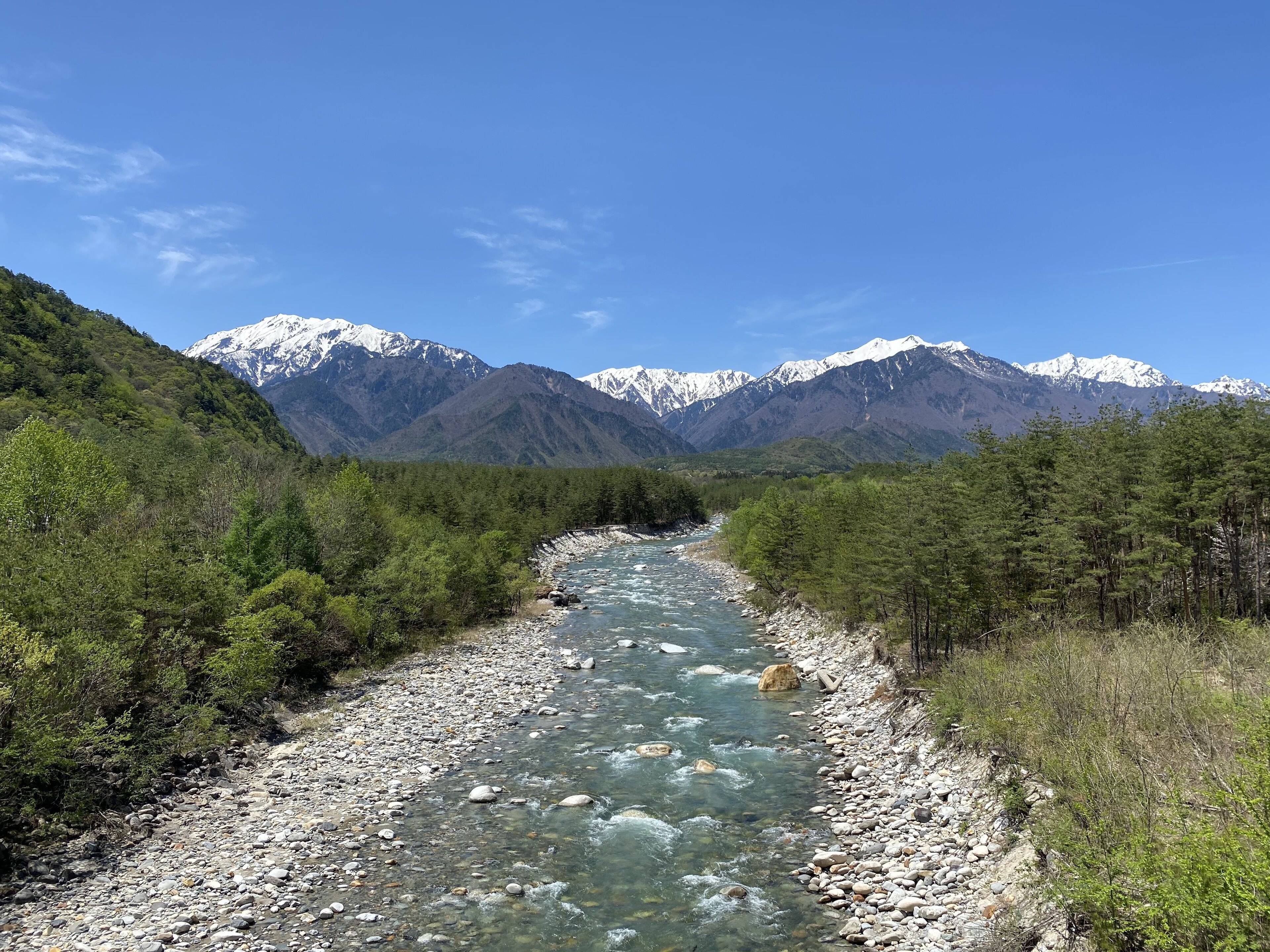 A river flowing through a forested valley with mountains in the background.