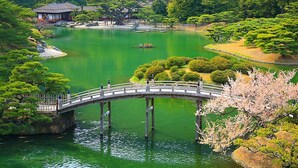 A traditional Japanese garden with a wooden bridge over a pond, surrounded by lush greenery and cherry blossoms. - Business Hotel Sunshine Takamatsu (Takamatsu)