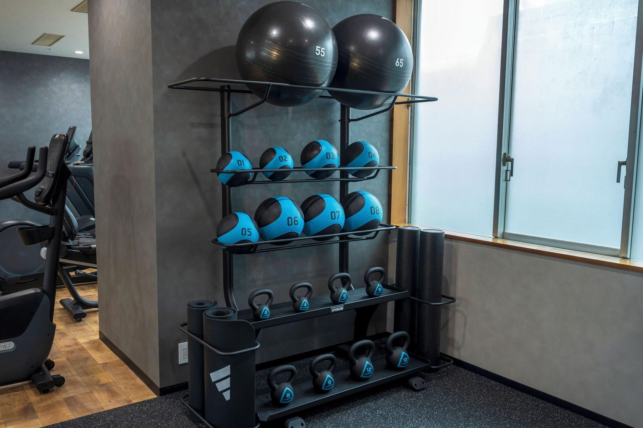 Academia com equipamentos de ginástica, incluindo halteres, kettlebells e bolas de exercício.