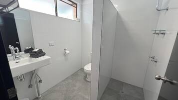 Suihku, ilmaiset hygieniatuotteet, hiustenkuivaaja, pyyhkeet