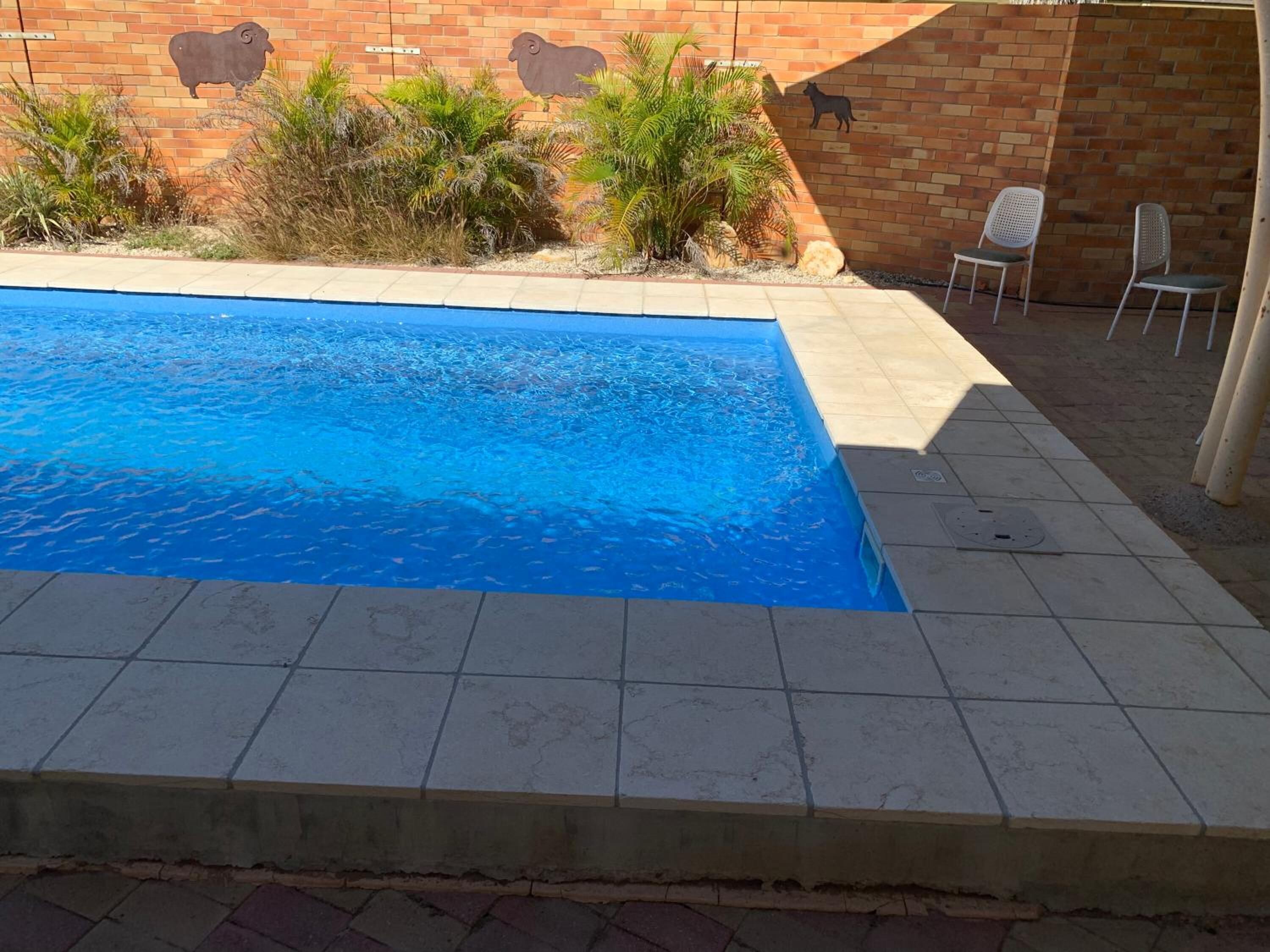 Una piscina con bordo piastrellato, circondata da un muro in mattoni con decorazioni raffiguranti animali.