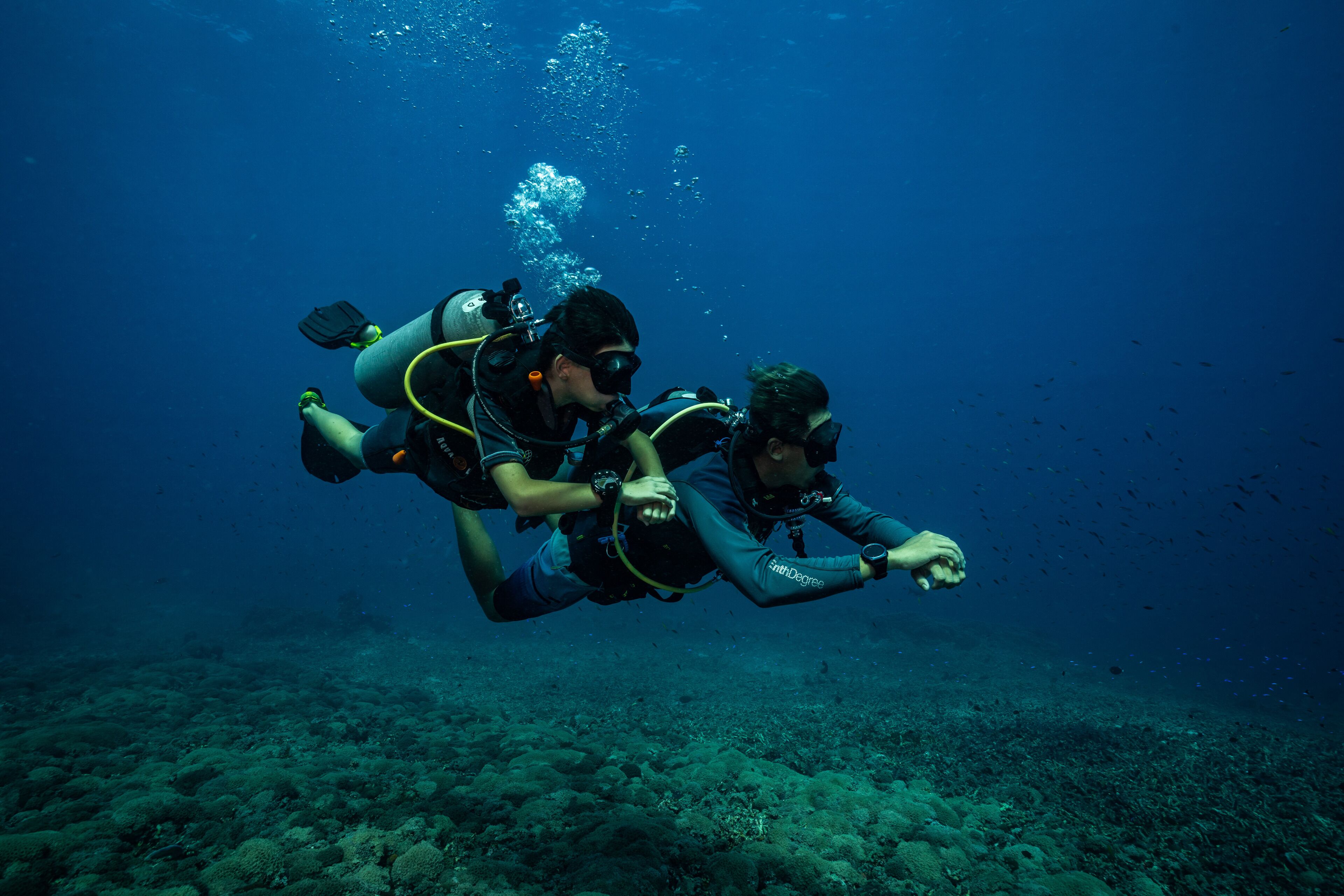 Two divers underwater with a coral reef in the background.