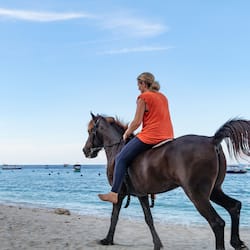 Horse riding