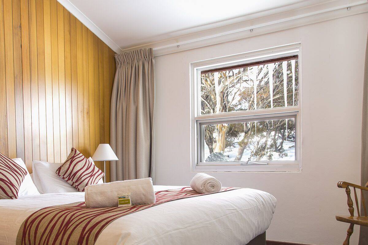 Habitación de hotel con una cama grande, una ventana con vistas a árboles, cabecera de madera y alfombra azul.