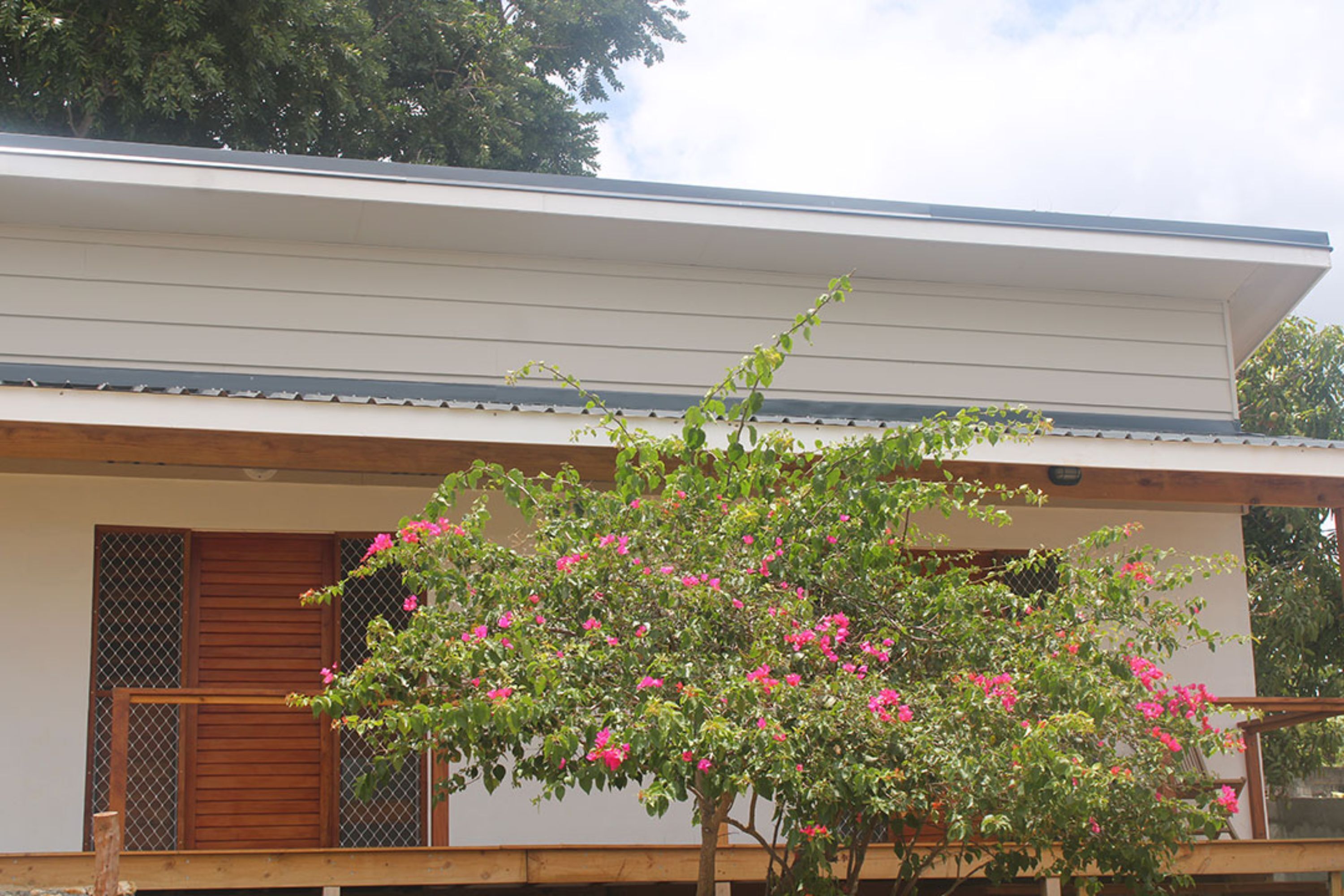 A two-story building with a balcony and a tree with pink flowers.