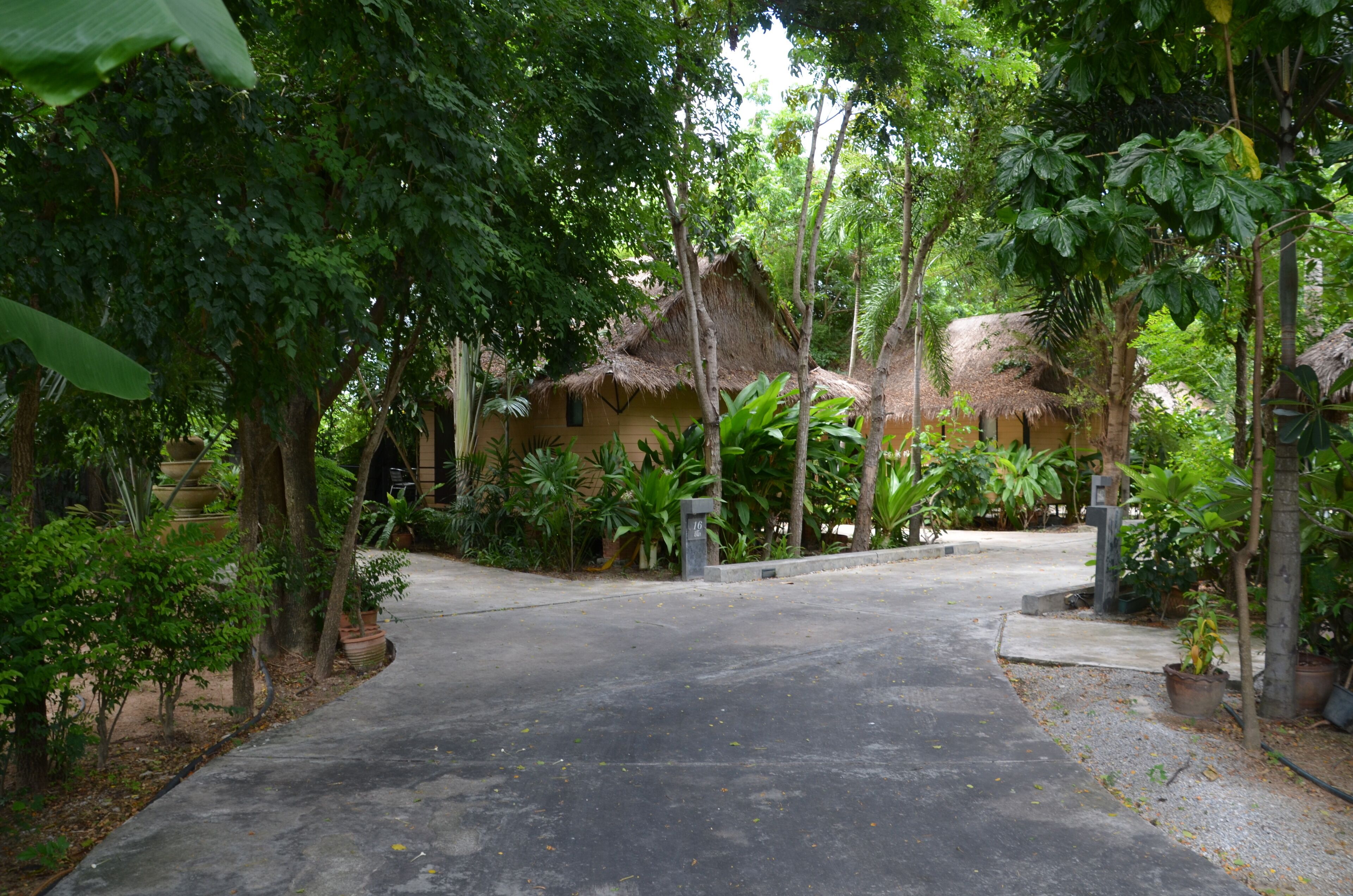 A pathway leading to a thatched-roof building surrounded by lush greenery.