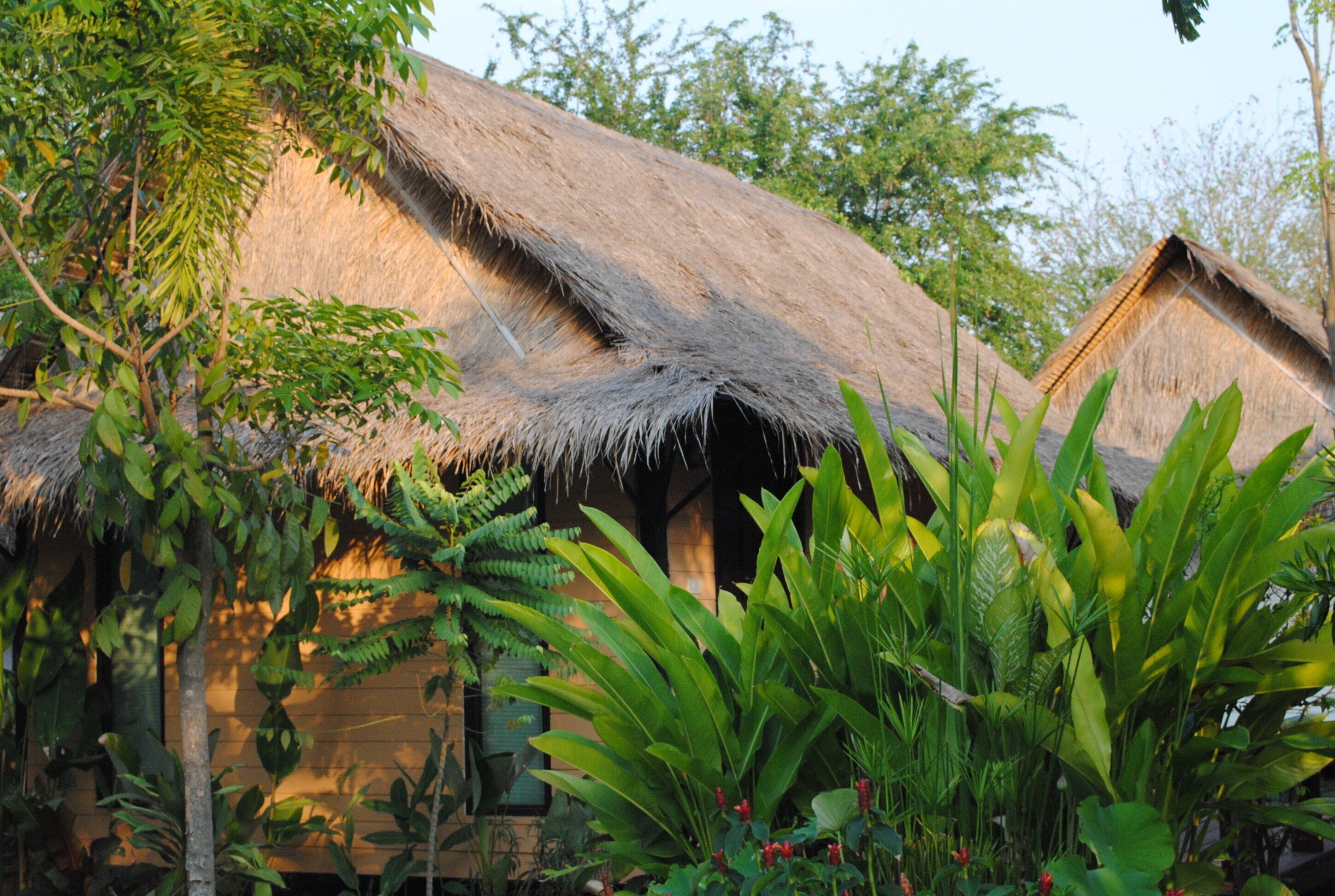 A traditional thatched-roof hut surrounded by lush greenery.