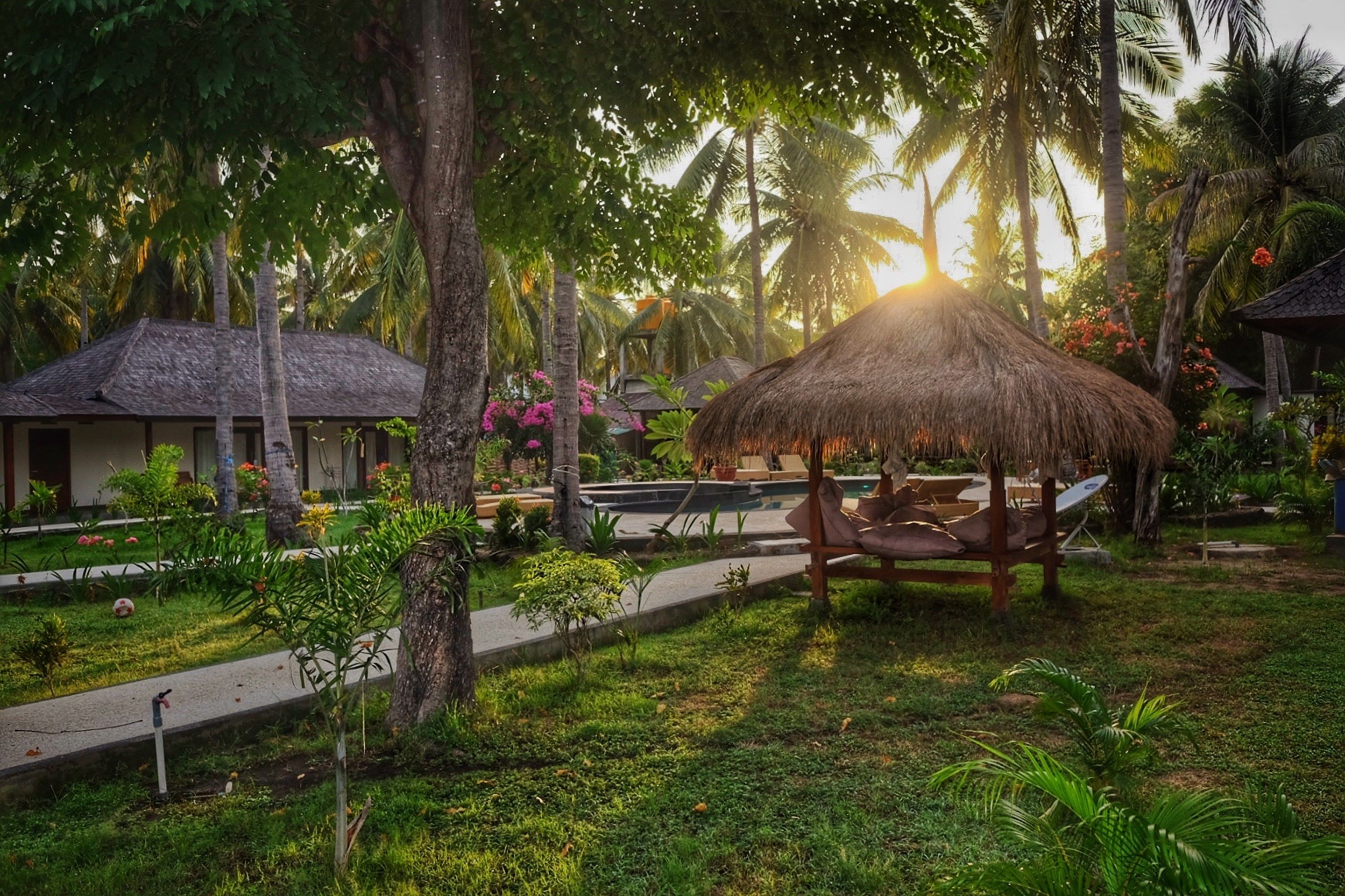 A tropical resort with thatched-roof huts, a hammock, and lush greenery.