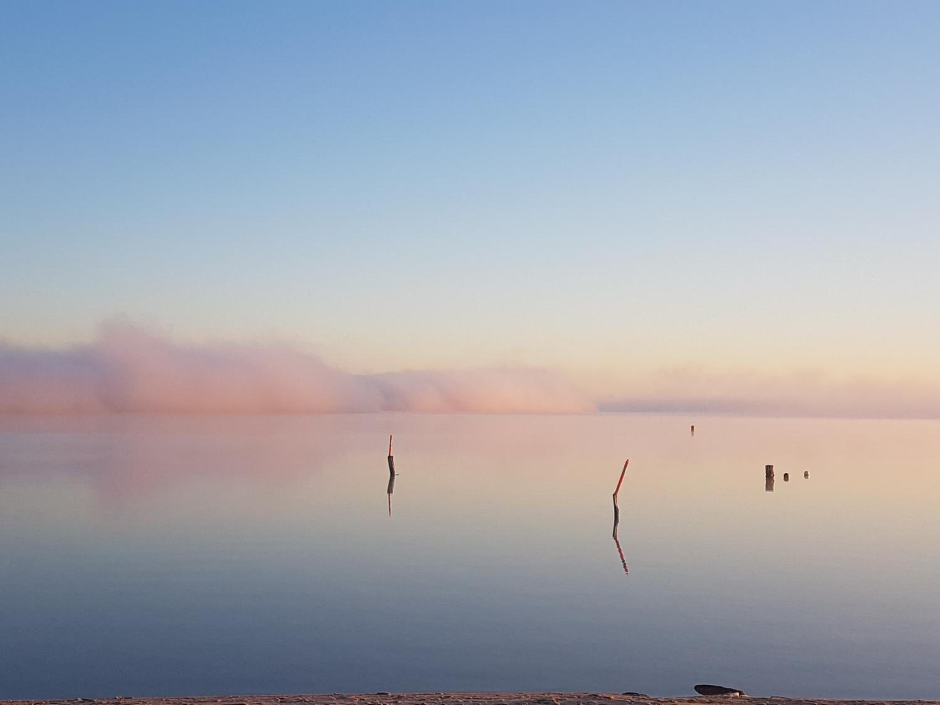 Un lago tranquilo con cielo despejado y algunos árboles a lo lejos.