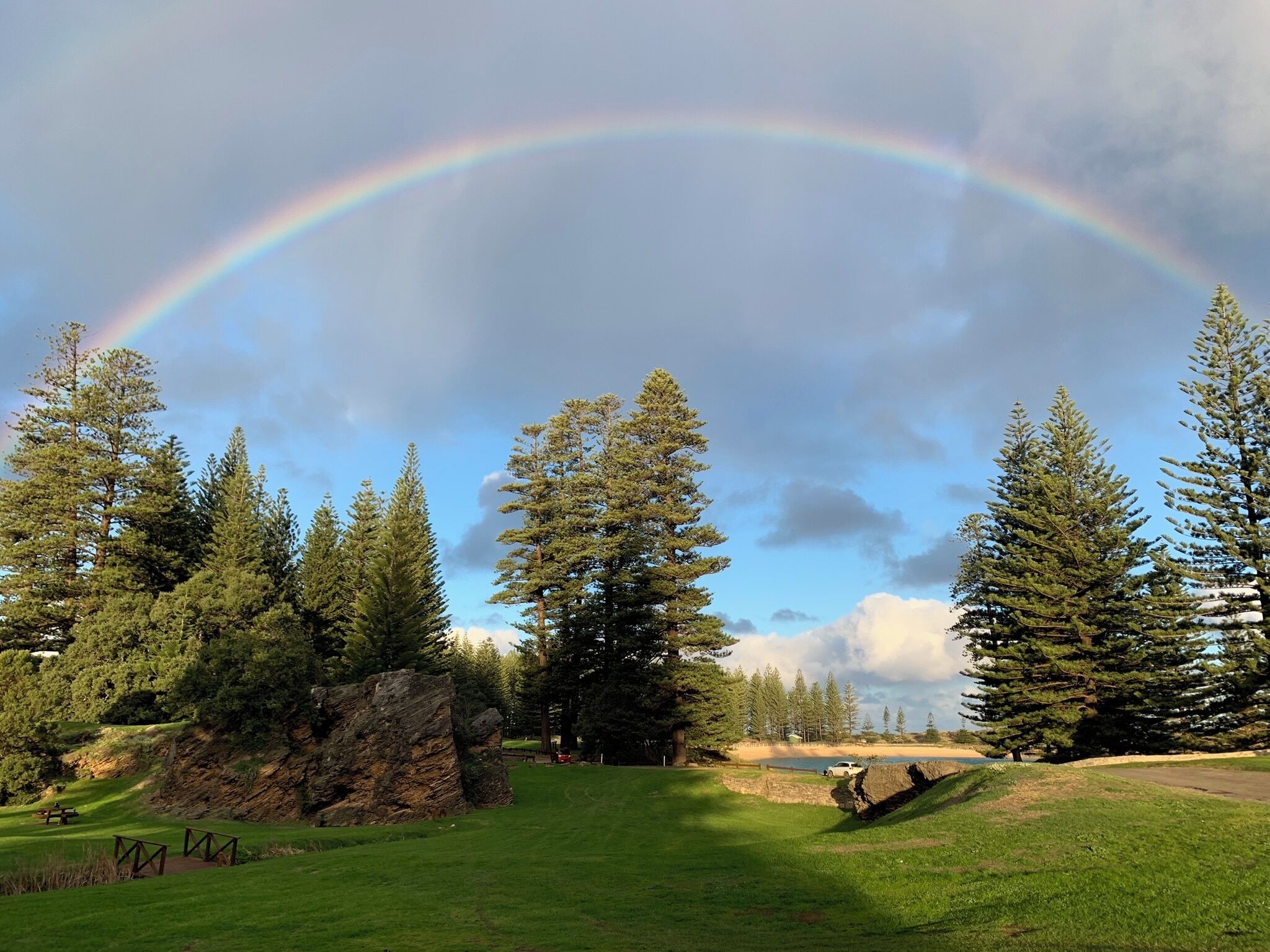 A park with a rainbow, green grass, and tall trees.