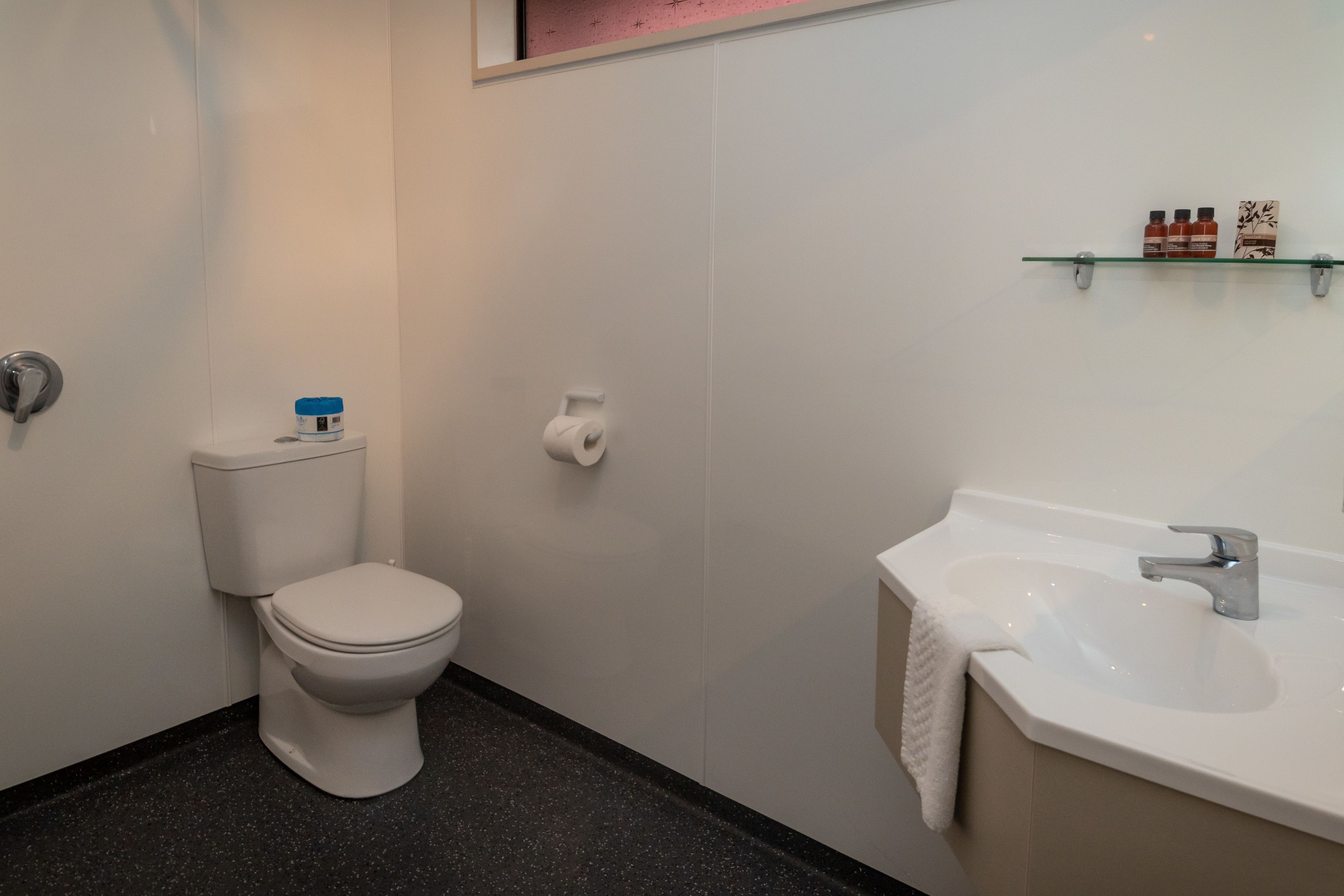 A bathroom with a toilet, a sink, and a shelf with toiletries.