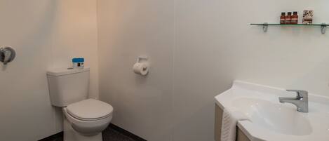 A bathroom with a toilet, a sink, and a shelf with toiletries.