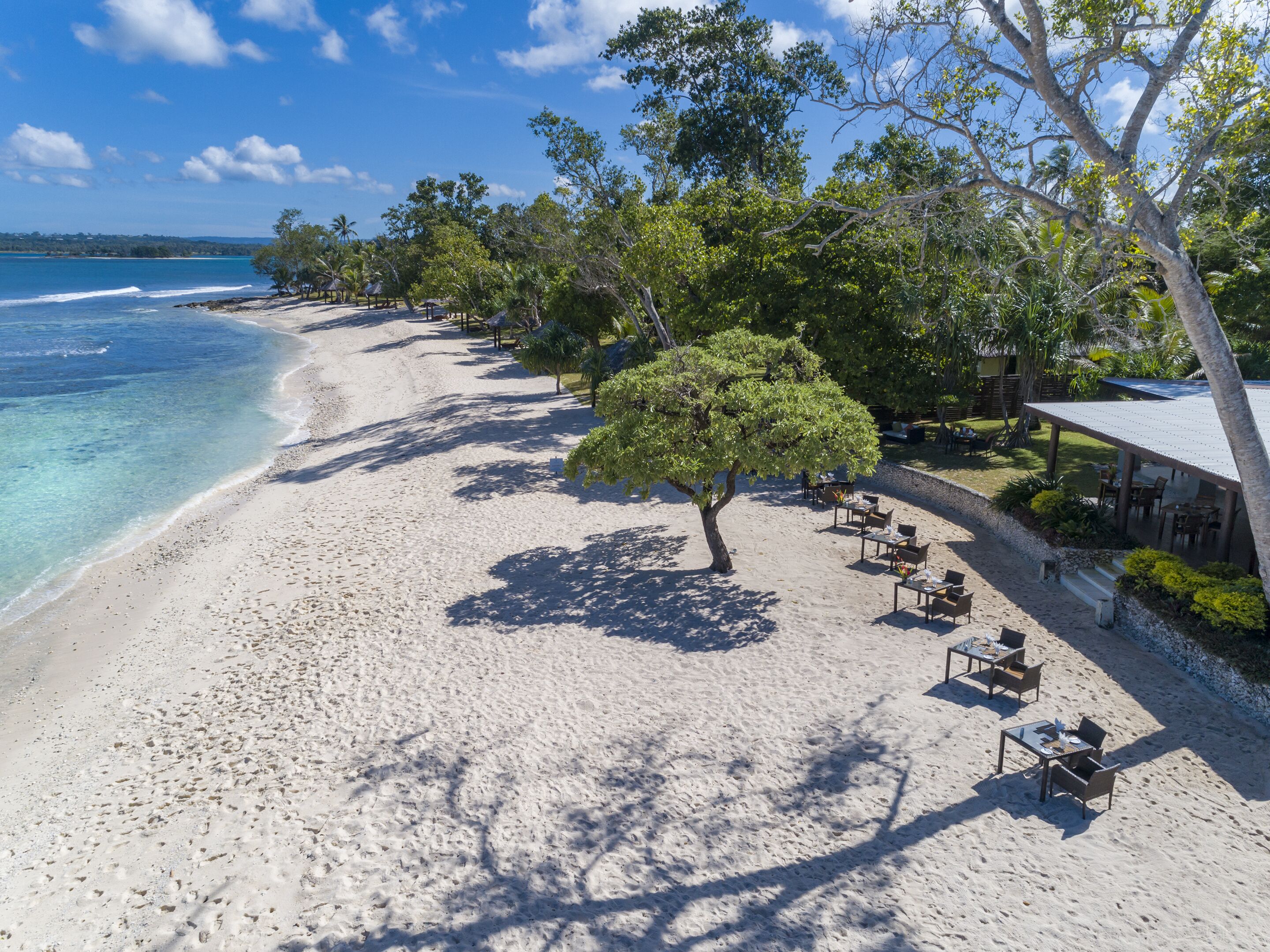 A beach with a tree, tables, and chairs under a shaded area.