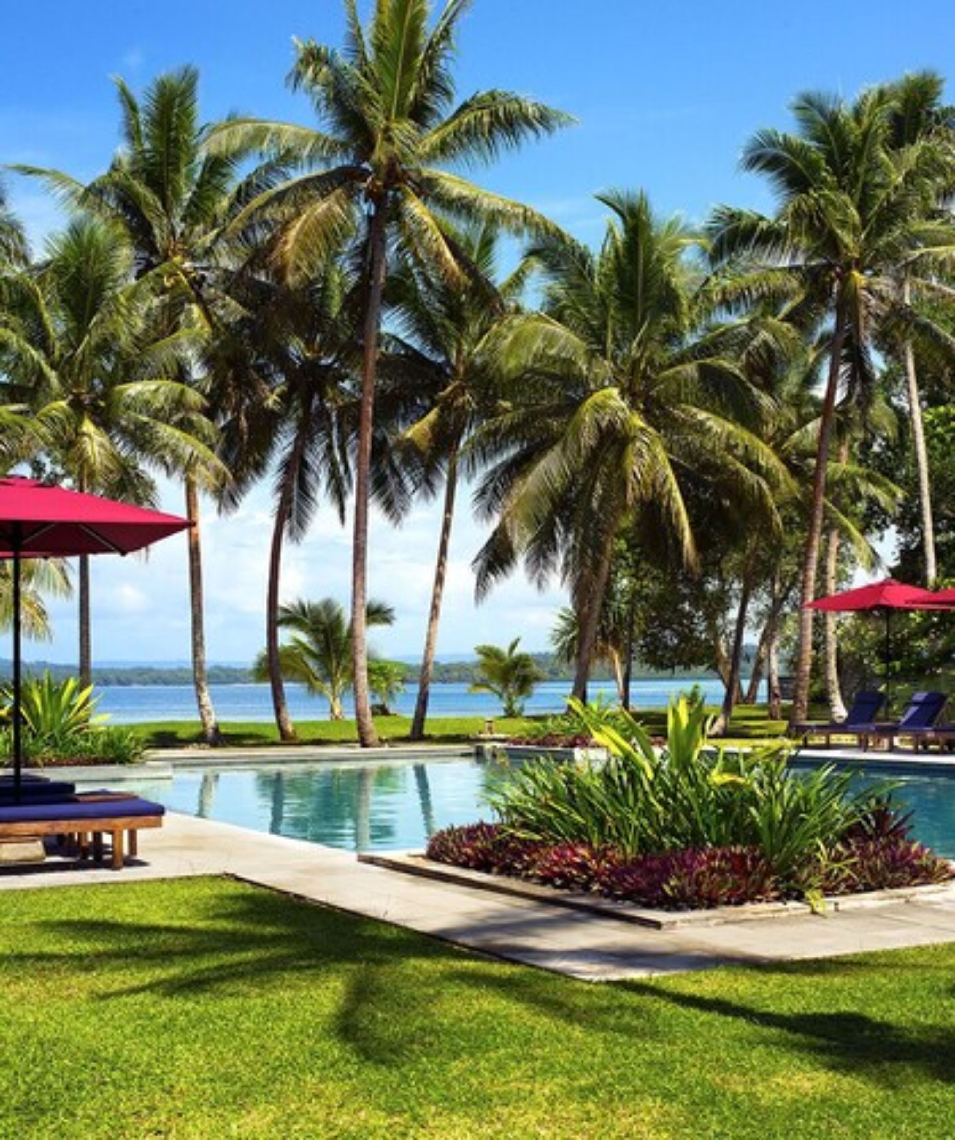 A poolside area with palm trees, a pool, and a view of the ocean.