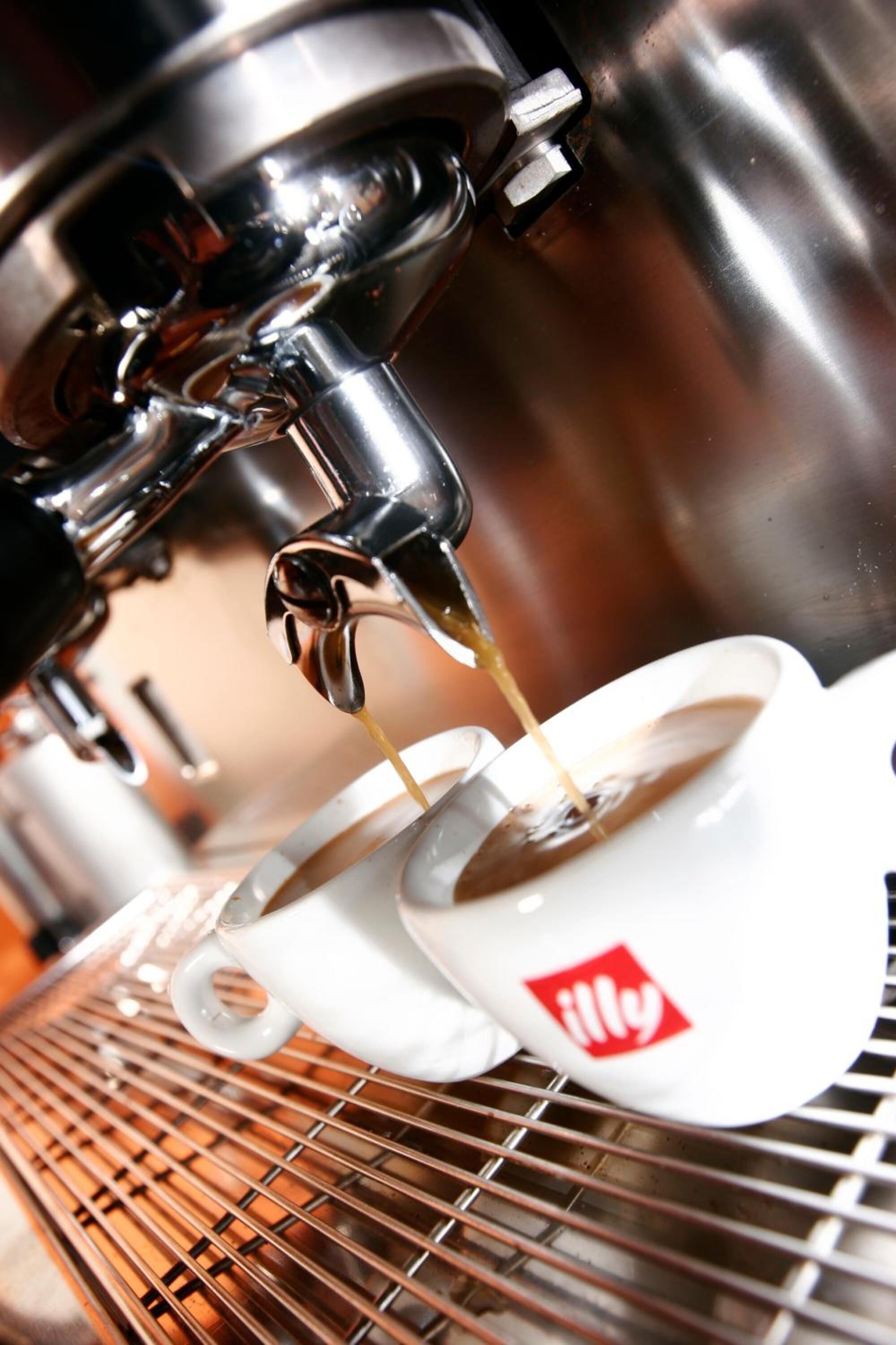 Foto - Bali Bungalo Hotel