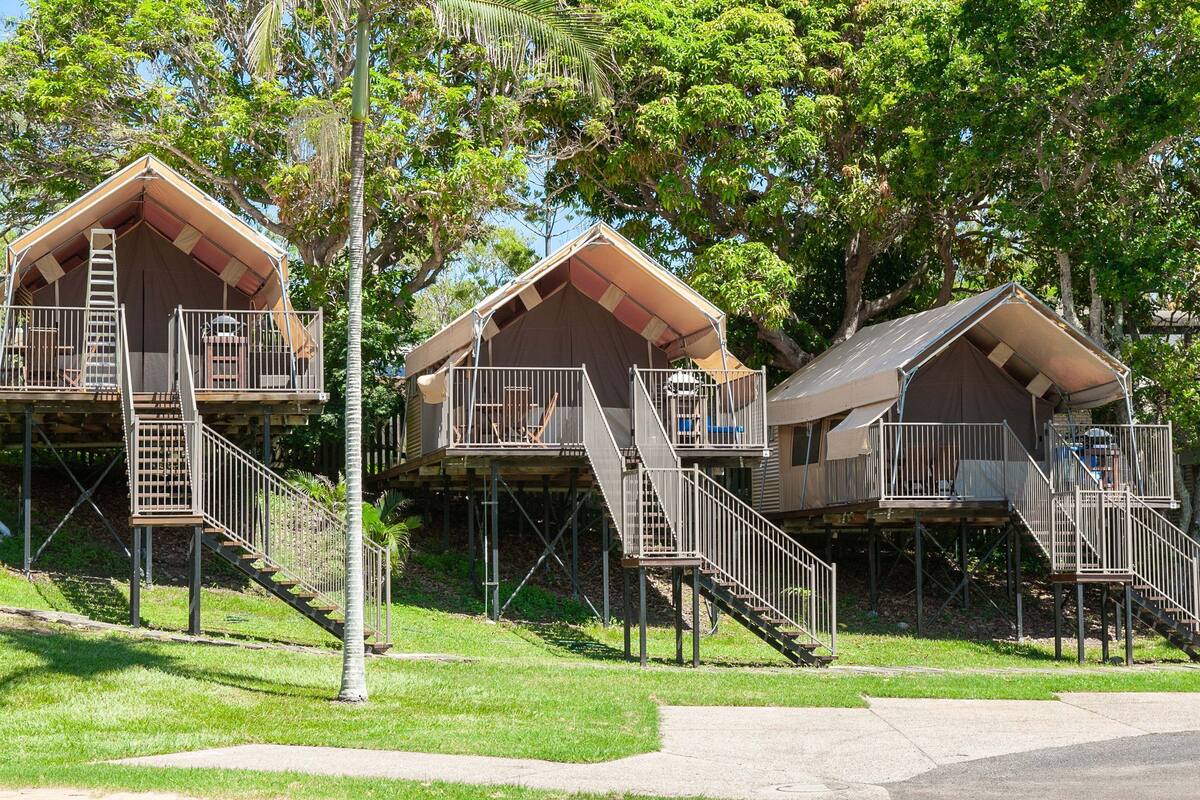 Une rangée de cabanes en bois surélevées, dotées d’escaliers et de rampes d’accès à l’extérieur, et entourées de verdure.