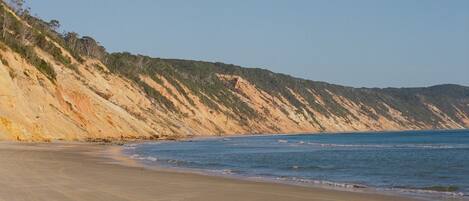 A beach with a sandy shore and a steep cliff with sparse vegetation.