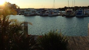 A marina with multiple boats docked, surrounded by water and palm trees.