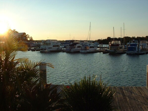 A marina with multiple boats docked, surrounded by water and palm trees.