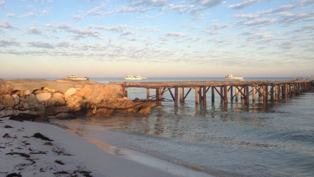 Escena costera con un muelle que se adentra en aguas tranquilas, una playa arenosa y un cielo despejado con algunas nubes.