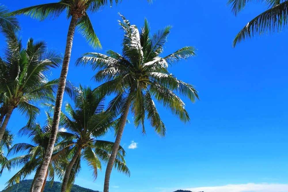 Patong Princess Hotel