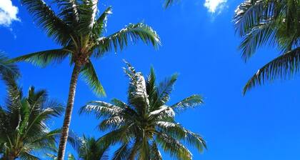 Patong Princess Hotel