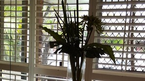 A round wooden table with four chairs, a vase with green plants, and a window with white blinds. - Ballina Palms Boutique Motel (Ballina)