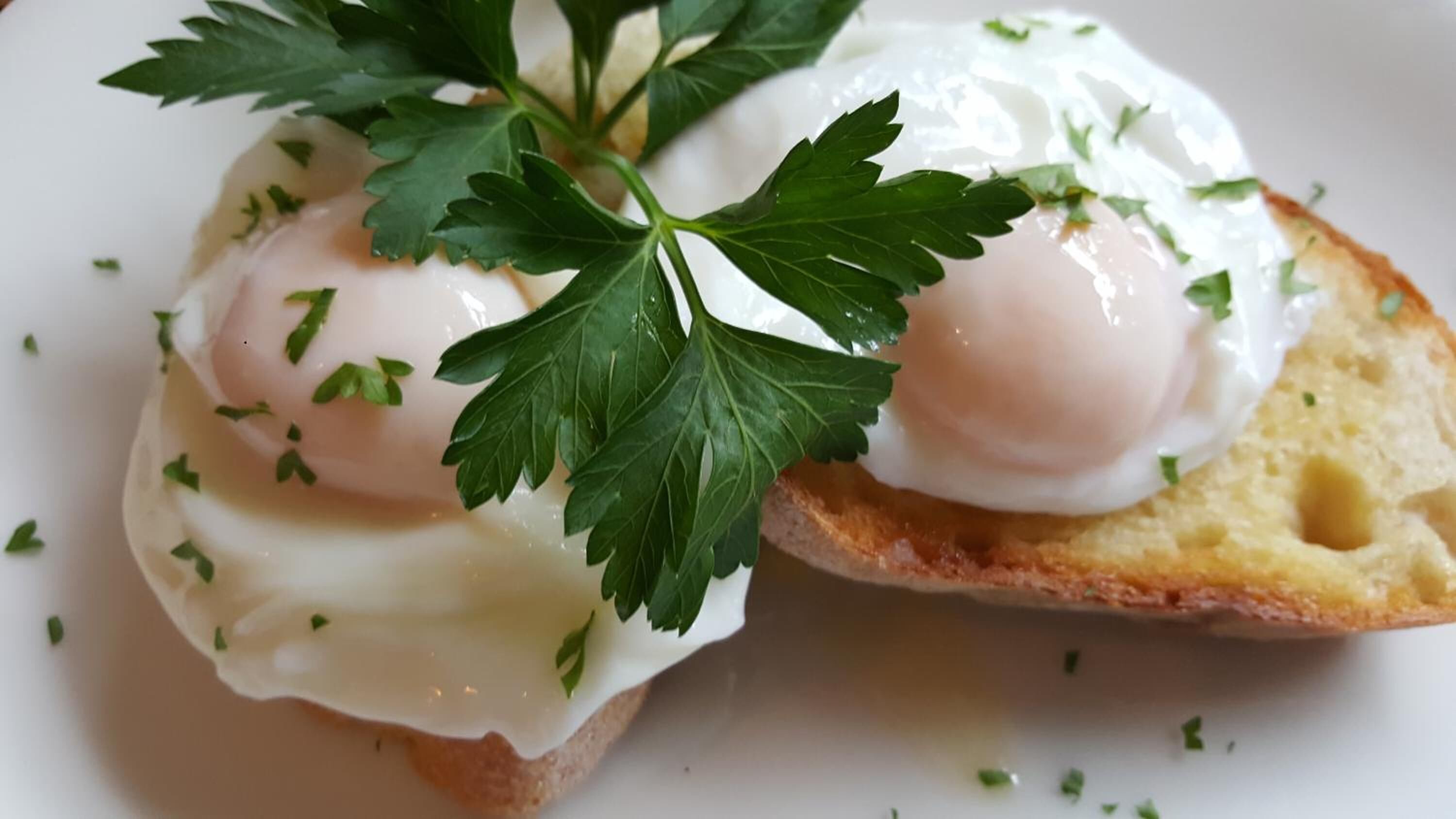 A plate with poached eggs on toast garnished with parsley.