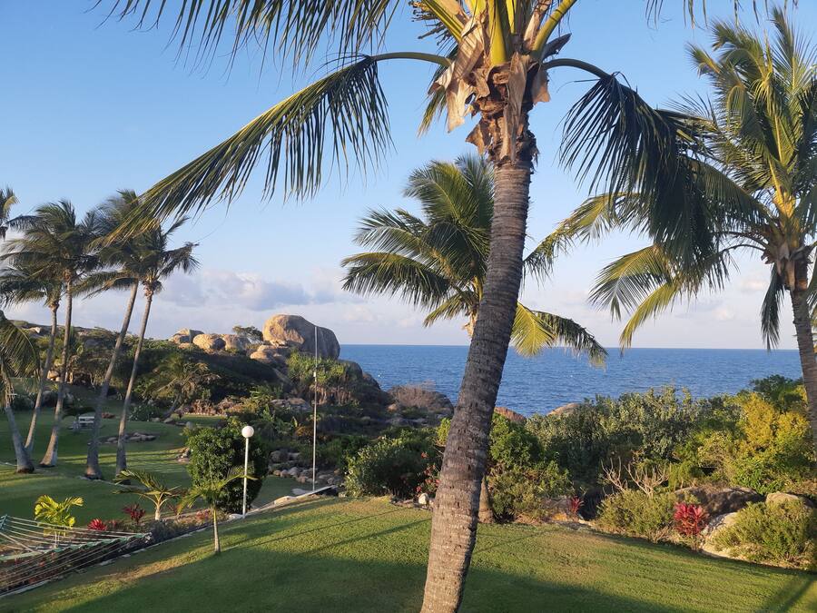 Un paisaje tropical con palmeras, una hamaca y vista al océano.