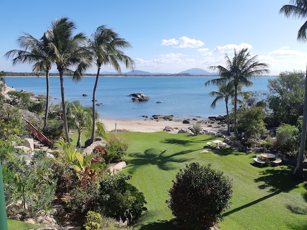 A tropical beach with palm trees, a grassy area, and a view of the sea.