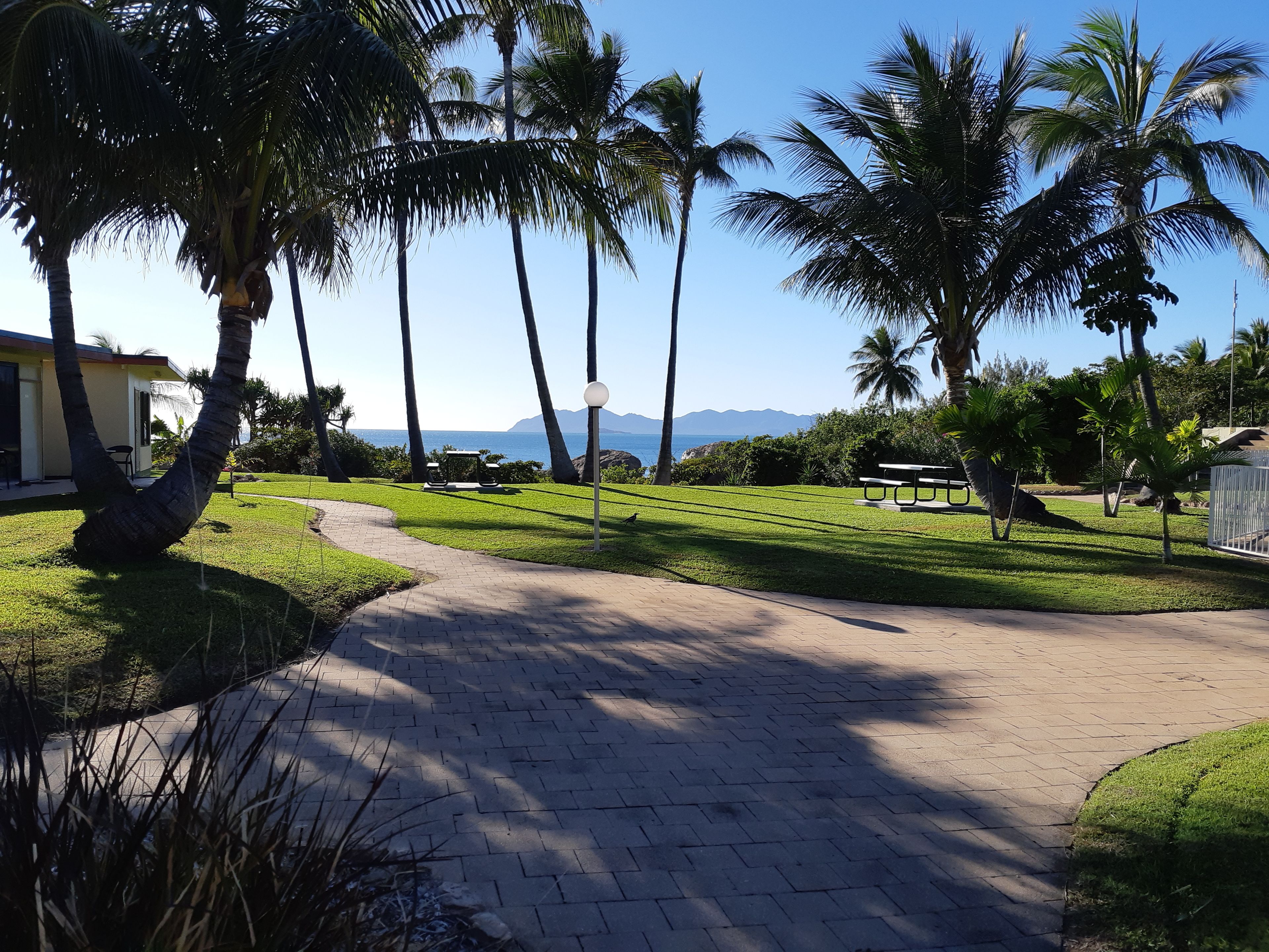 A paved pathway leading to a grassy area with palm trees and a view of the ocean.