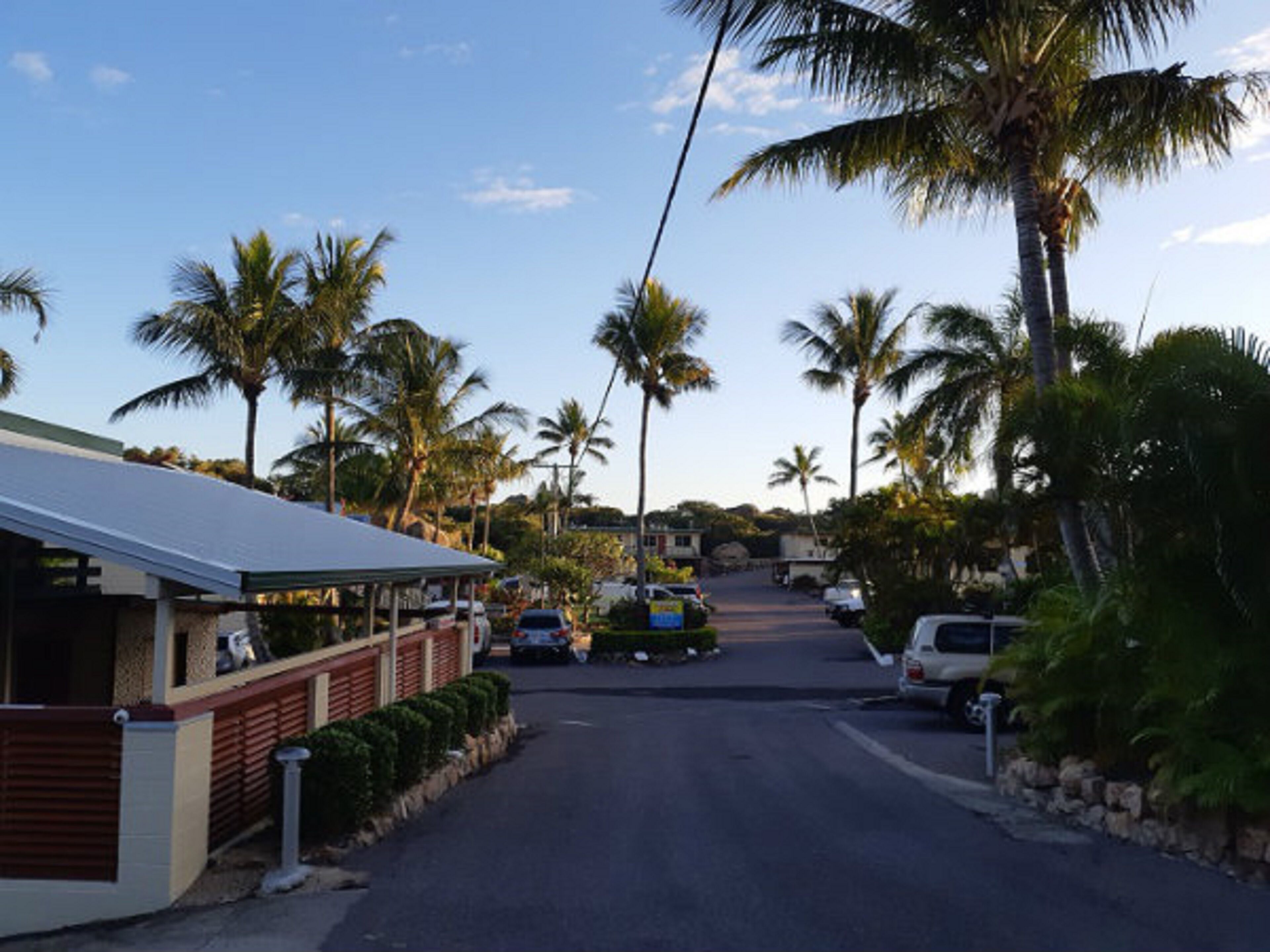 A street lined with palm trees and parked cars, leading to a building with a covered area.