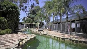 A clear outdoor pool area with a checkered pattern on the ground, surrounded by rocks and trees. - Rich River Golf Club Resort (Moama)