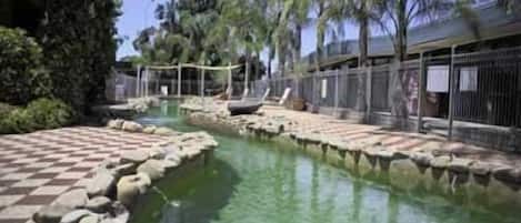 Piscine extérieure, chaises longues