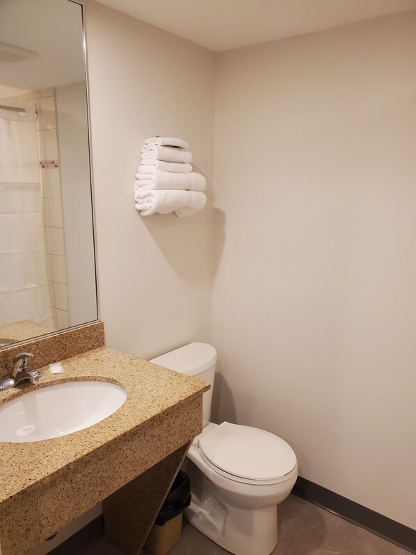 Une salle de bain avec un lavabo, des toilettes et un porte-serviettes.