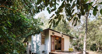 The Little Bush Hut