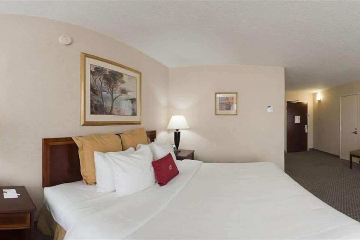 Standard Room, 1 King Bed, Non Smoking | Premium bedding, pillow-top beds, desk, blackout curtains