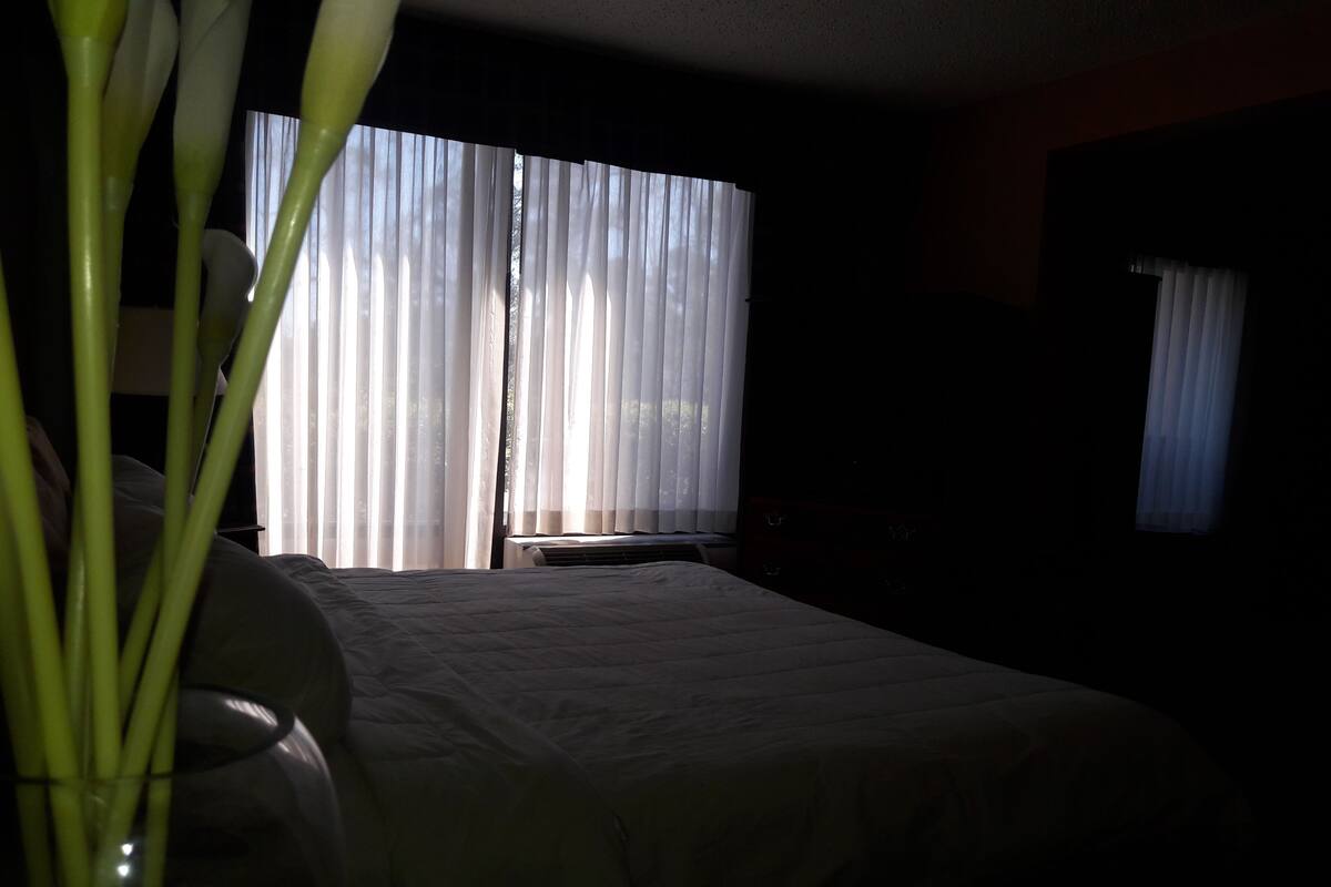 Suite, 1 très grand lit, non-fumeurs | Vue de la chambre