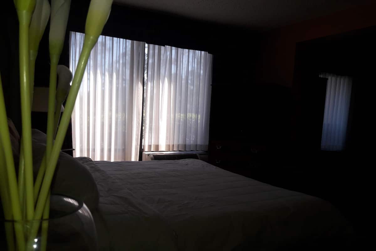 Suite, 1 King Bed, Non Smoking | View from room