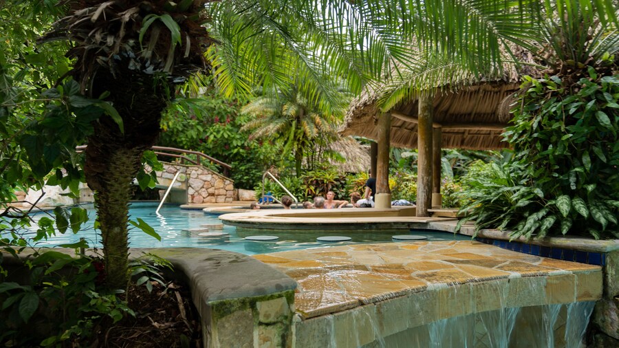 Ian Anderson's Caves Branch Adventure Co