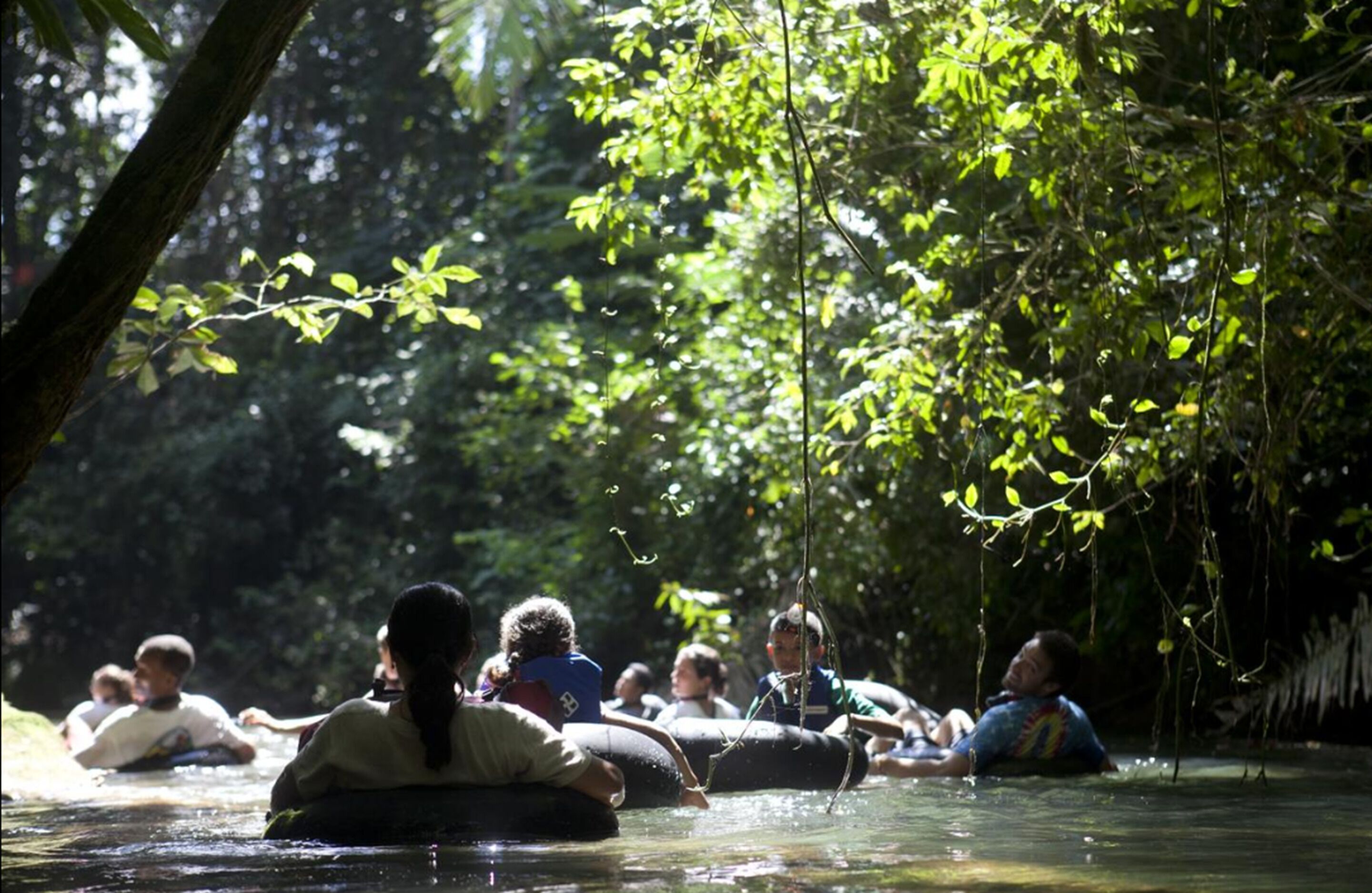 People floating on water in a forested area.