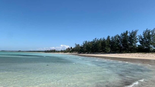 Een strand met helder turquoise water, een zandstrand en dichte bomen op de achtergrond.
