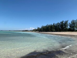 Una playa con agua turquesa cristalina, orilla arenosa y árboles densos al fondo.