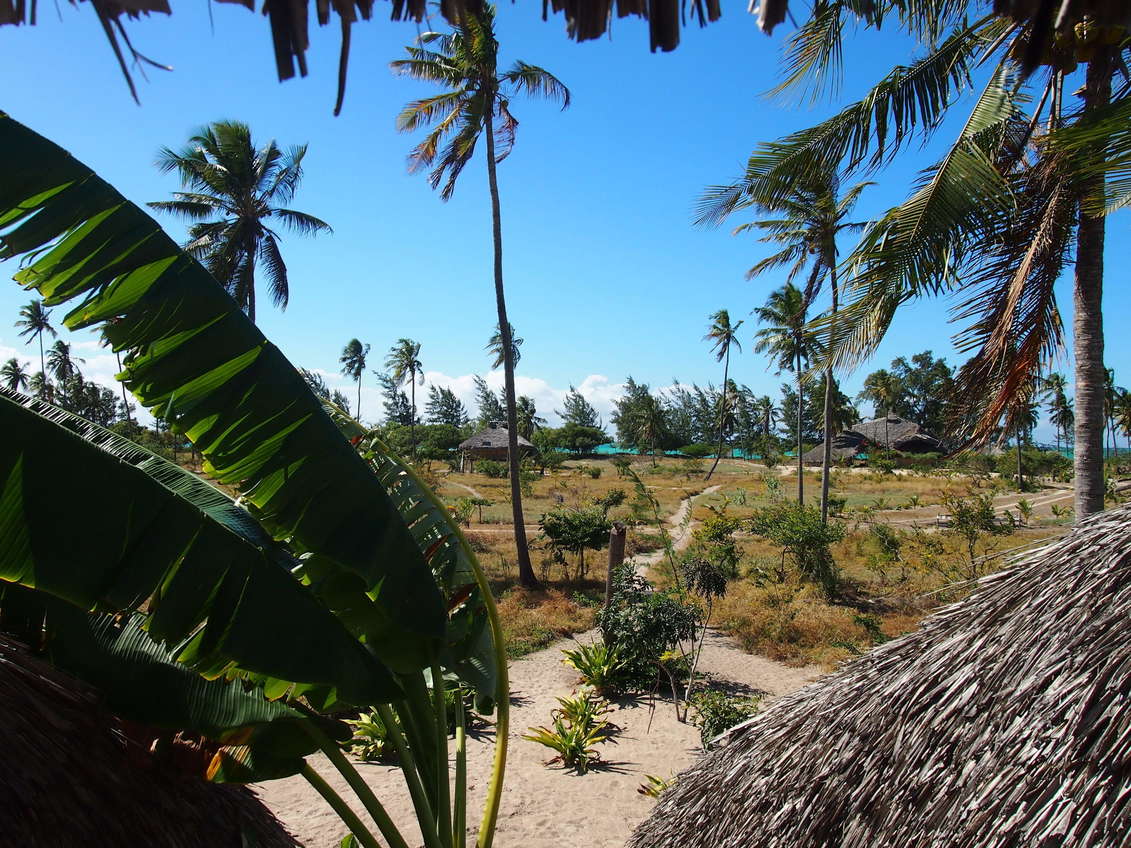 Family Room | View from room