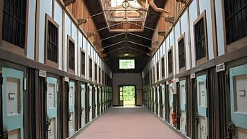 A long corridor with doors on both sides, leading to a central open space.