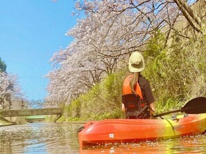 A person in a kayak on a river with cherry blossoms in the background. - Katayamazu Onsen Tokigasane (Kaga)